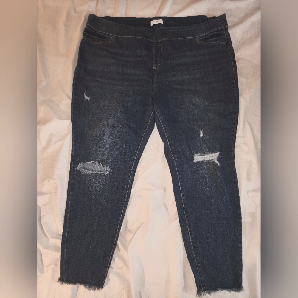 Lane bryant skinny jeans size 26